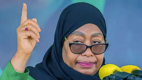 Tanzania's President Samia Suluhu Hassan Initiates Inquiry into Election Violence