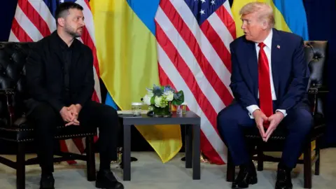 Unexpected Putin-Trump Call Hinders Zelensky's Washington Trip