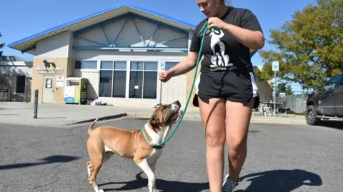 FBI Incineration Incident Leaves Animal Shelter Staff Hospitalized