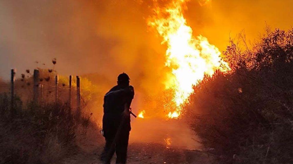 Algerian President Calls for Death Penalty for Arsonists After Wildfires Leave 12 Dead