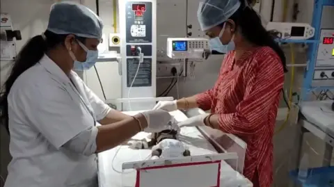 Tragic Discovery: 20-Day-Old Baby Girl Found Buried in Uttar Pradesh