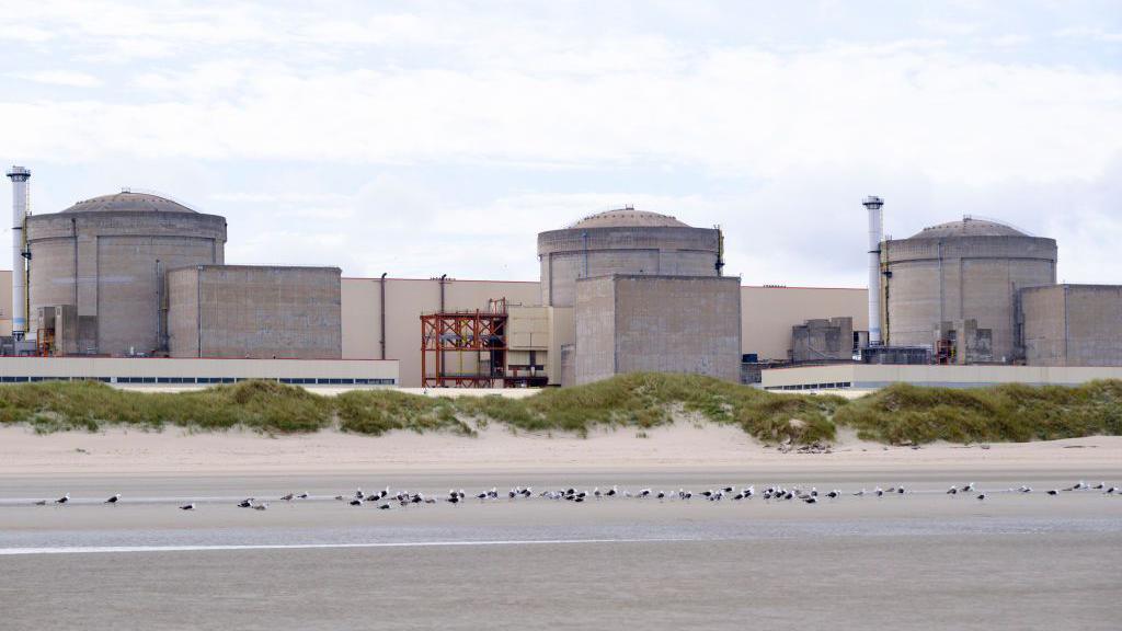 Jellyfish Swarm Leads to Partial Shutdown of France’s Gravelines Nuclear Plant