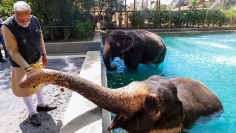 Investigation Clears Billionaire Ambani Family's Private Zoo of Allegations