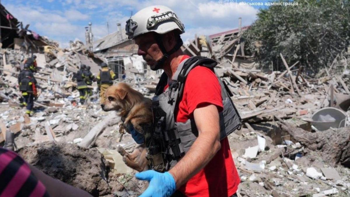Rescue worker and dog beside rubble of a destroyed building