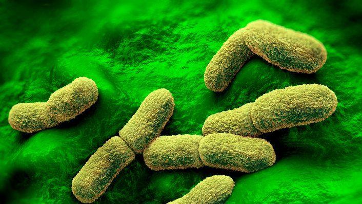 US Watches Russian Lab Fatality for Possible Plague Spread, Rubio Says