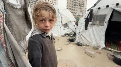 Urgent Appeal for Shelter in Gaza as Winter Approaches