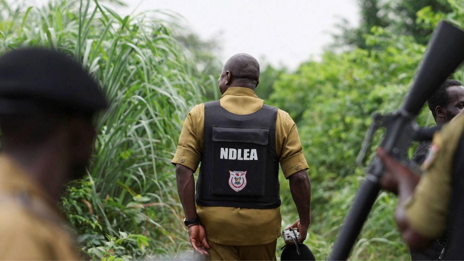 Mexican Drug Cartels Turn Nigeria Into Hidden Methamphetamine Production Hub