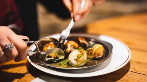 The Great Snail Heist: €90,000 of Gourmet Escargot Stolen in France