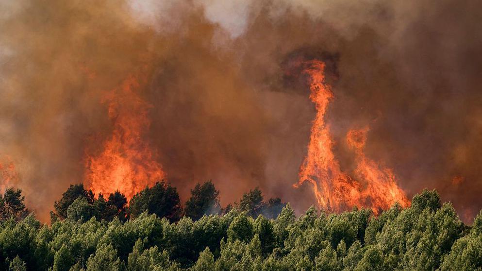 Europe Grapples With Record Heatwave: France Logs 2,025 Excess Deaths and Wildfires