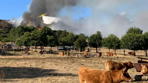 Spain Faces Severe Impact After Summer Wildfires