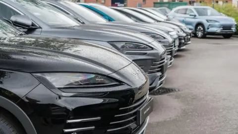 BYD Surpasses Tesla to Become World's Leading Electric Vehicle Seller