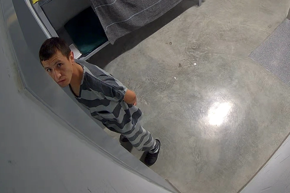 Rise in ICE Detainee Suicides Highlights Systemic Failures