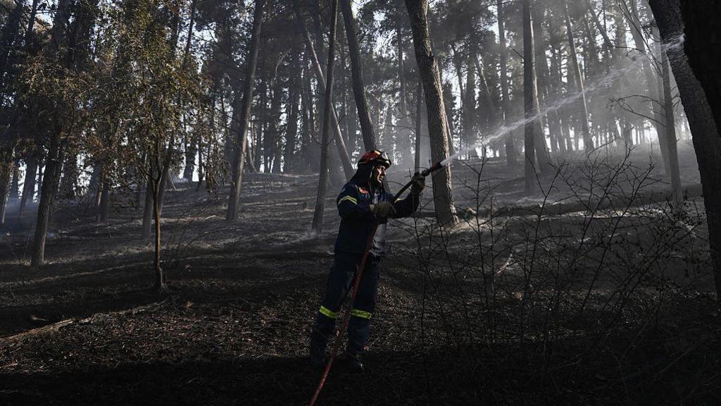 Greek Wildfire Devastates Northern Village as 100+ Firefighters Fight Flame