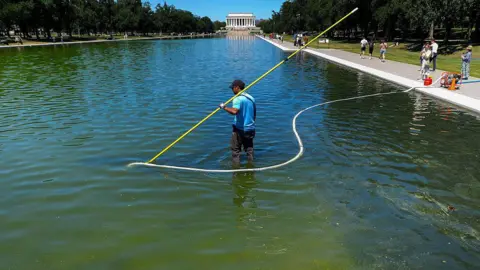 Former Olympian Davey Hearn denies vandalism after arrest at Washington Reflecting Pool