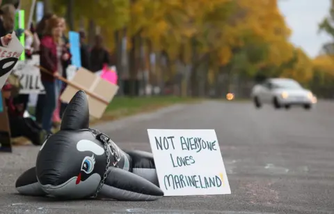 Threatened Belugas: Marineland's Thirty Whales at a Crossroads