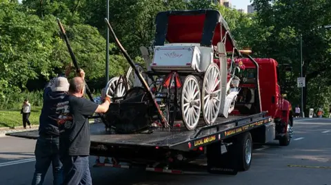 Teenager Dies in Horse‑Drawn Carriage Accident in New York