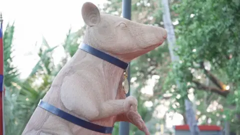 Cambodia Commemorates Lifesaving Rat with Statue in Siem Reap