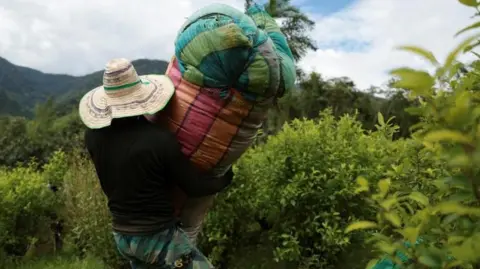 US Labels Colombia as Non-Cooperative in Drug War Amid Rising Cocaine Production